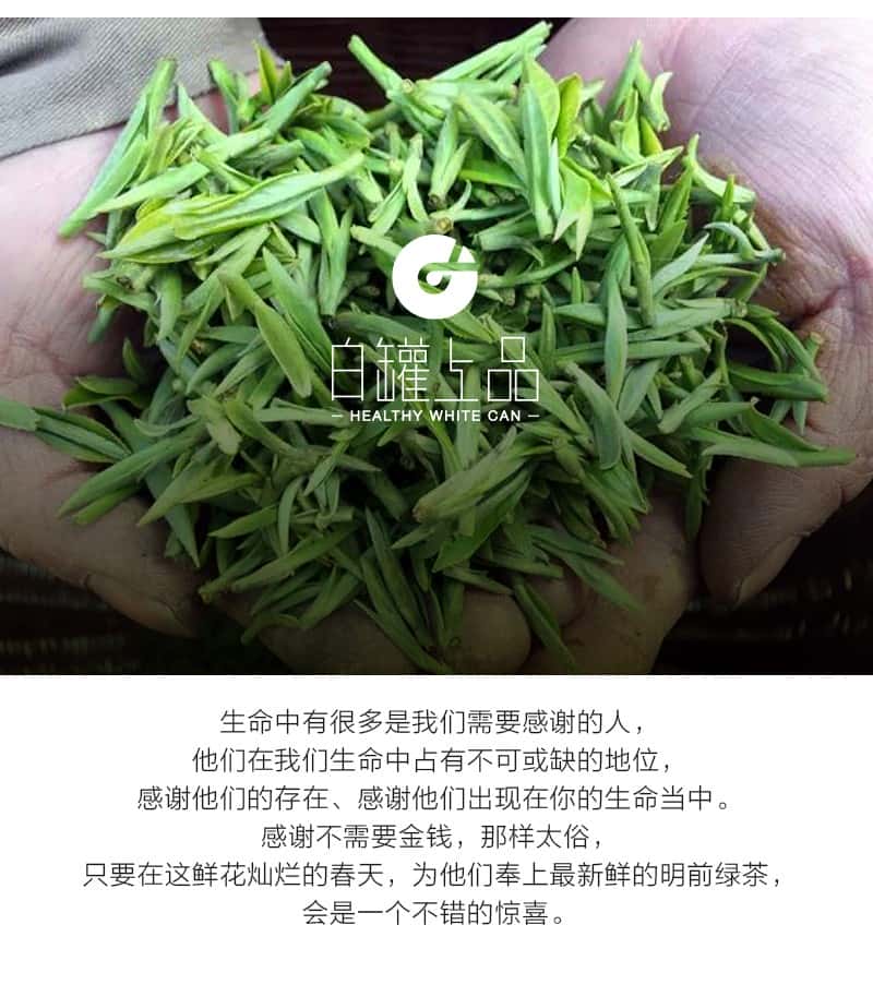覆膜铁白罐小罐茶应用之九溪明前狮峰龙井茶