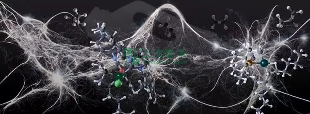 超高分子量聚乙烯（UHMWPE）材料的最新应用与未来展望